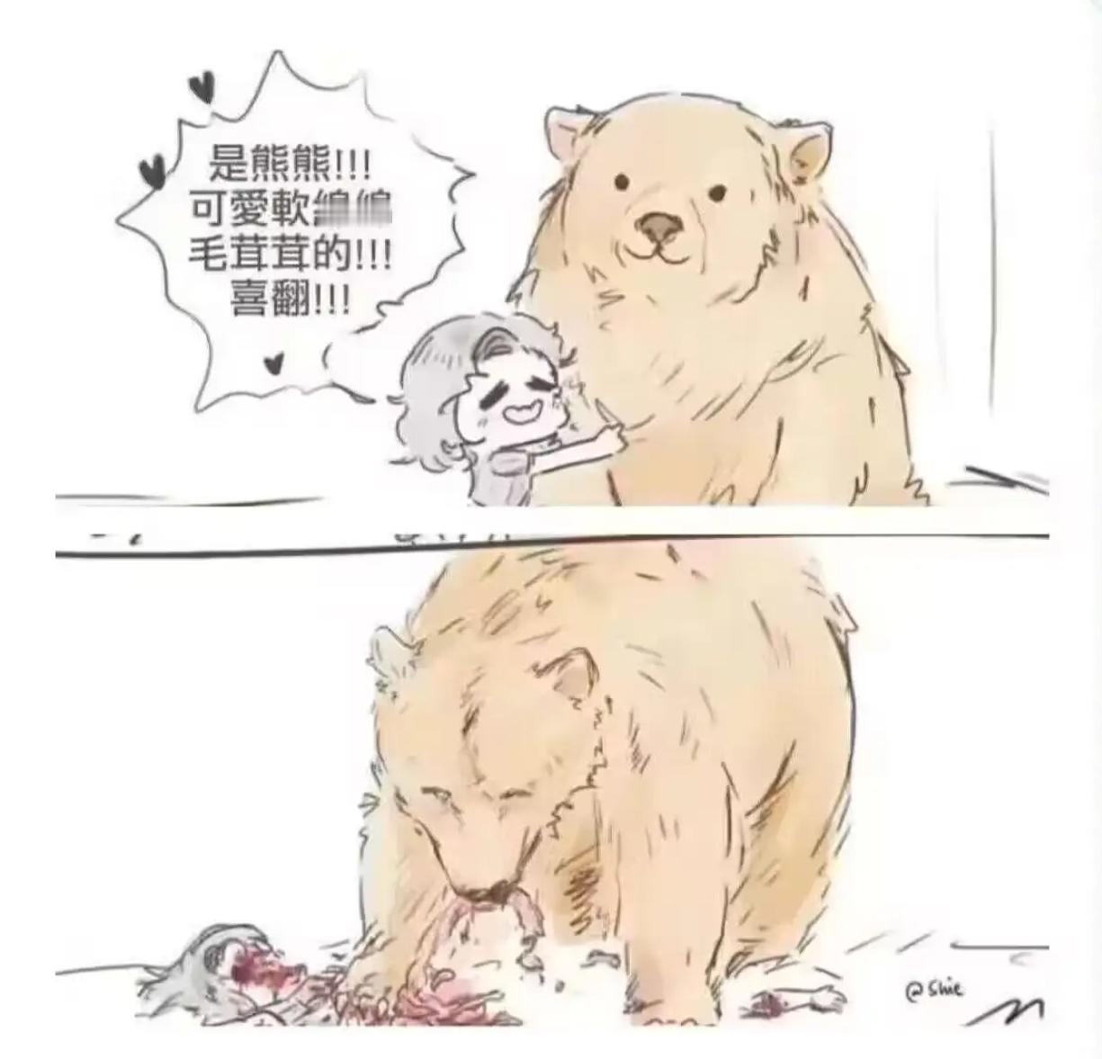 小熊饼干​​​