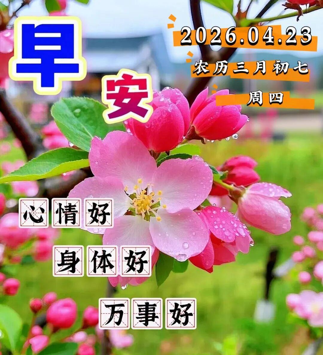 🌷🌅早晨，阳光和风在你的脸上轻轻拂过，💝这是一个崭新的开始，🌊愿你心情愉