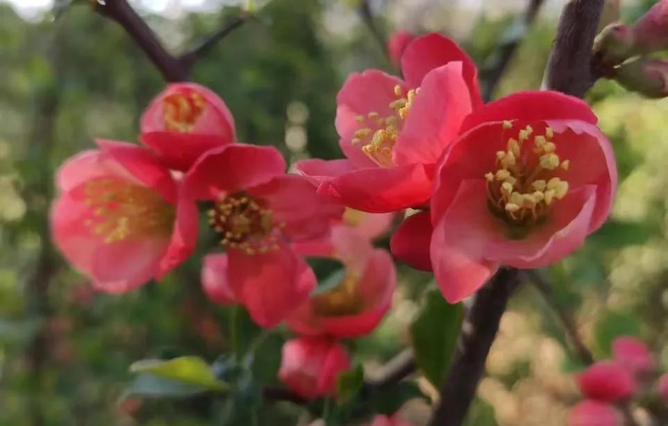 什么样的中年女人，最招人待见？我总结了8条，你占了几条？别不信，人