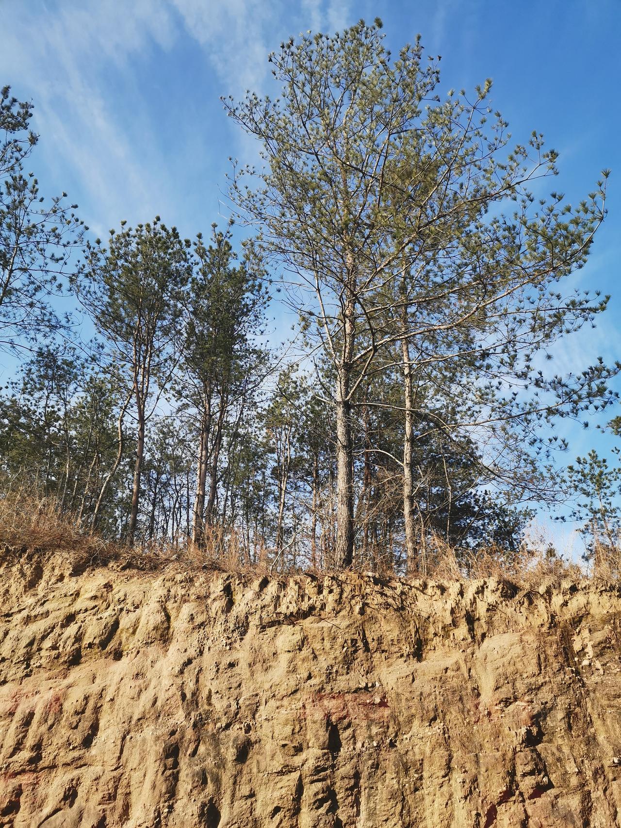 儿子元月28号期末考试后放假，学校图书馆提前闭馆，不再对学生开放借书，全校学生抓