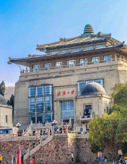 新华社都点名了？武大校长头大了新华社都看不下去说话了，虽然没点名，但意
