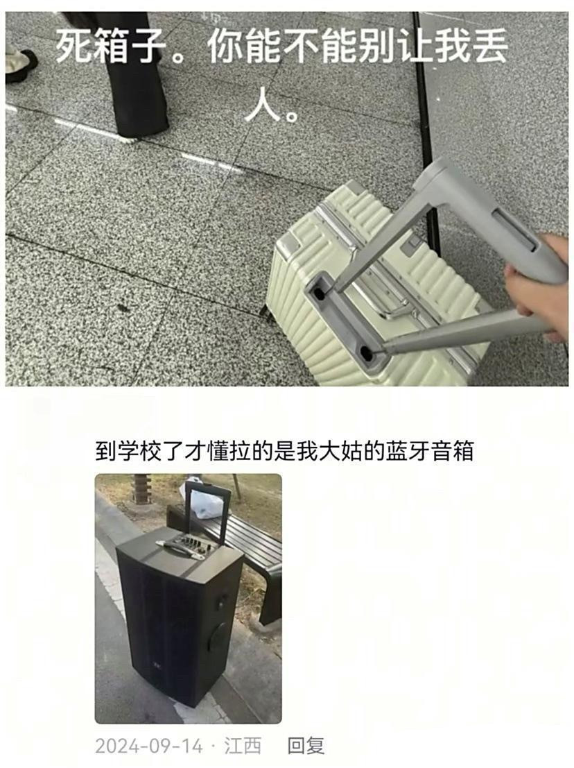 学生行李箱到底经历了什么？​​​