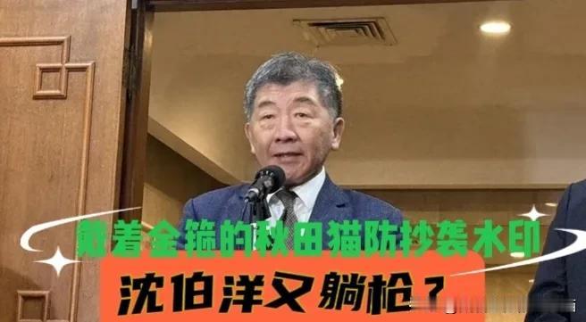 这次是沈伯洋躺枪？绿营拿慈济被骗10亿猛攻蓝白，郭正亮讥讽：他们是跟沈伯洋有仇