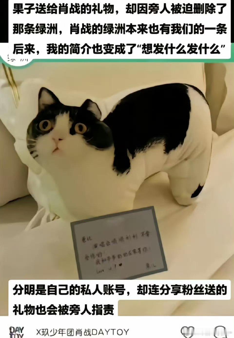 守护肖战分享礼物自由想发什么就发什么🥺🤲​​​