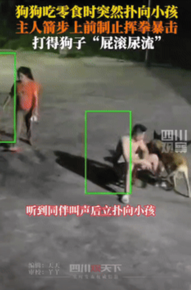 “这才是负责任的养狗人！”湖北湘潭，一男子喂自家狗狗吃零食时，突然听到同伴的叫声