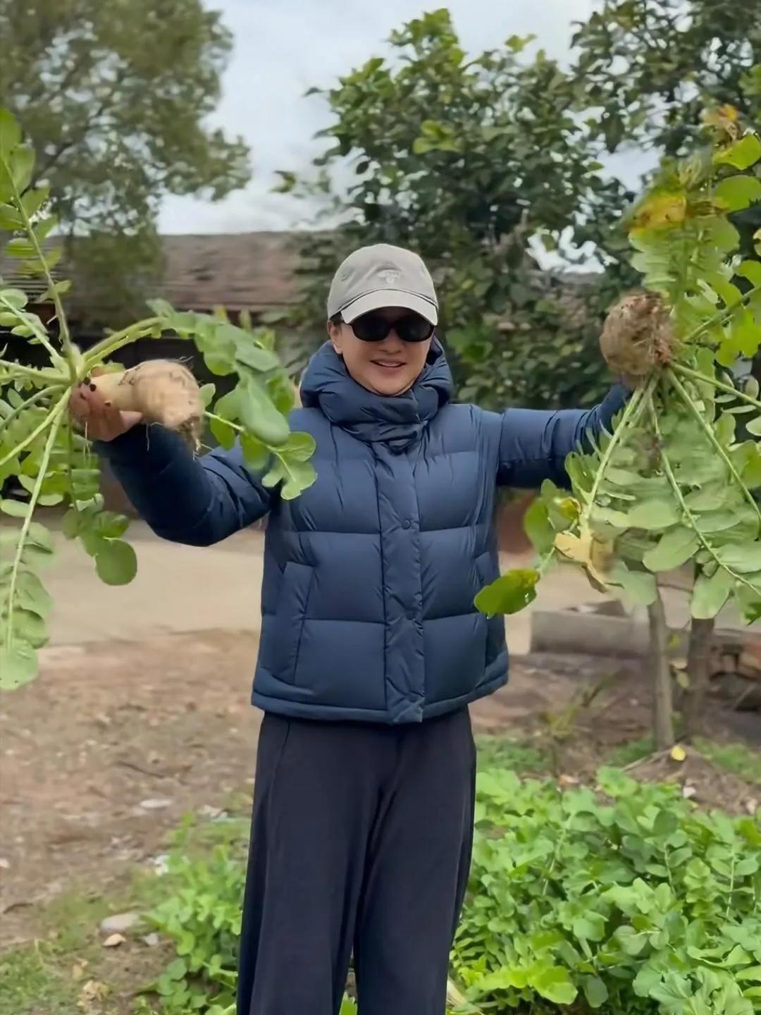 52岁周迅回浙江老家农村探亲，亲自到地里摘菜，她穿着一身名牌衣服，和周围的环境格