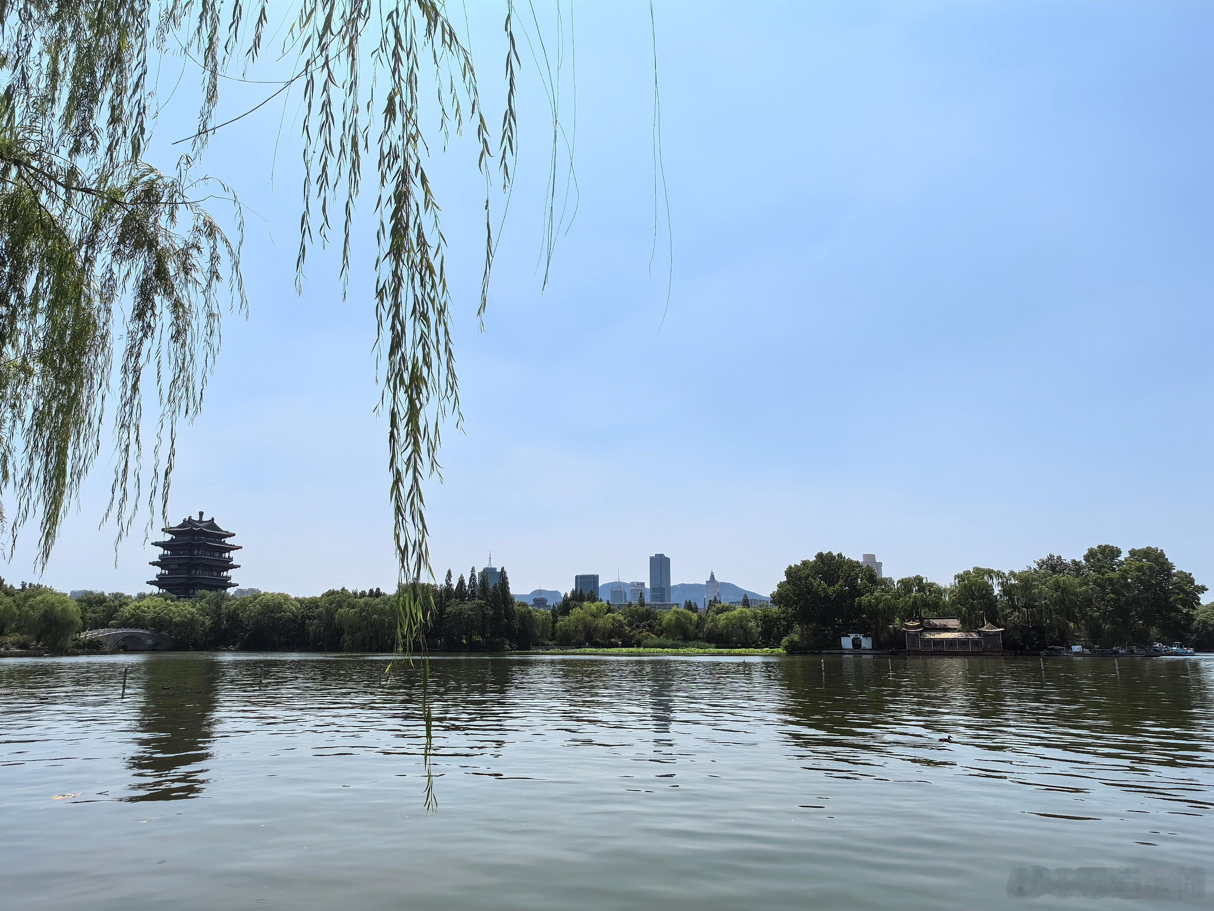 【那年今日】又到一年收息季。近年市场对“科技”股的热捧和对高股息格力类的真正为我