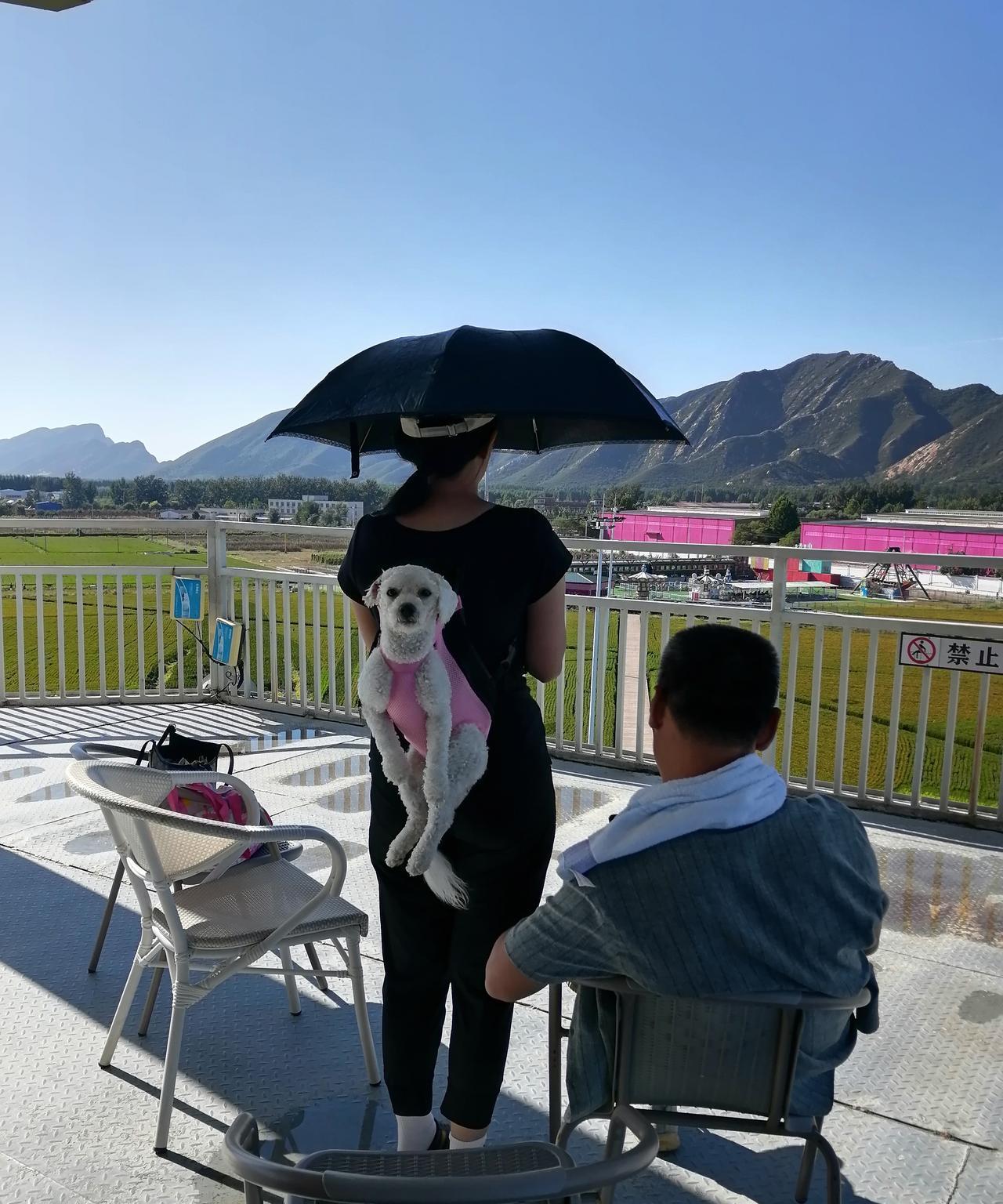 喜欢，会换来有恃无恐。不喜欢，会换来敬而远之。这个道理在我家狗狗身上，得到了充