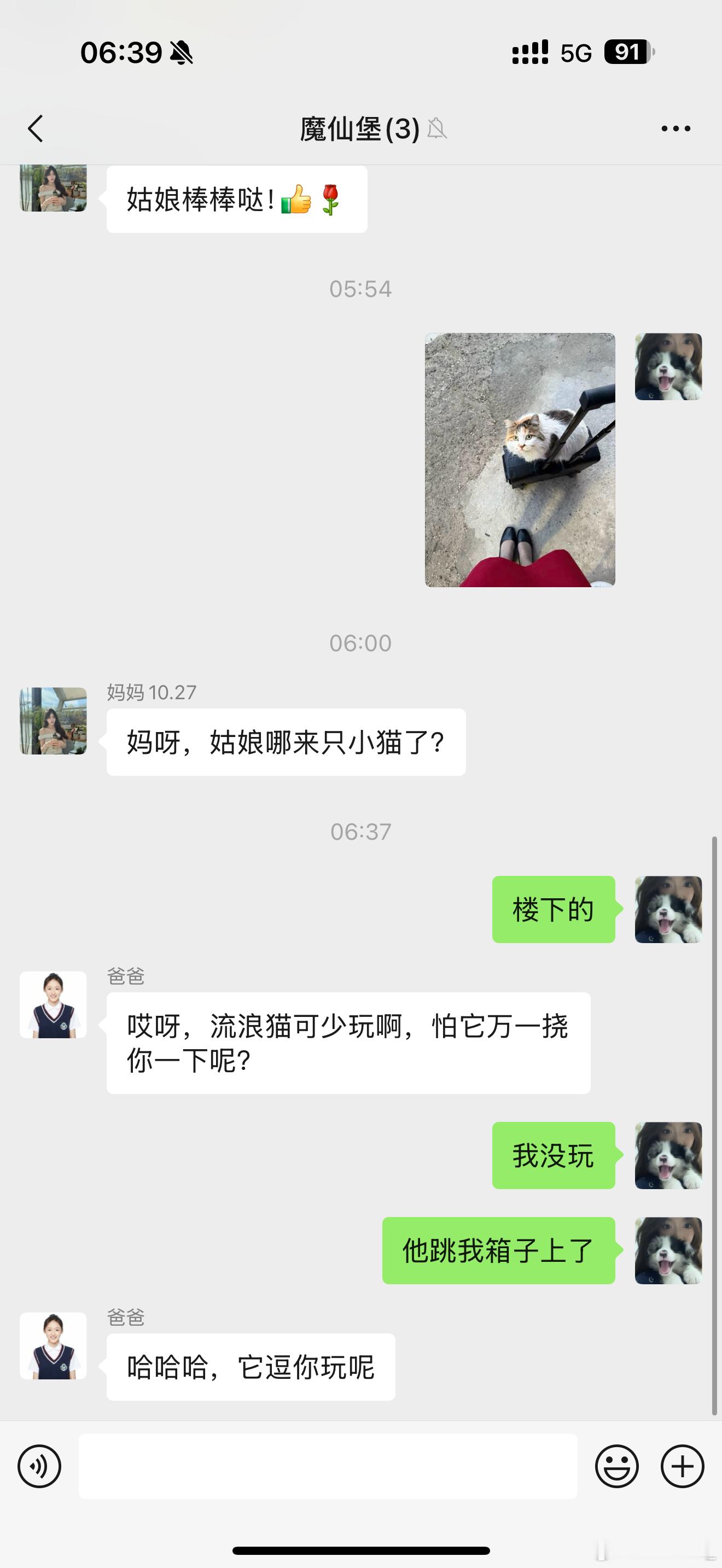 哈哈哈哈哈谁能给猫发明一个逗人棒🌞​​​