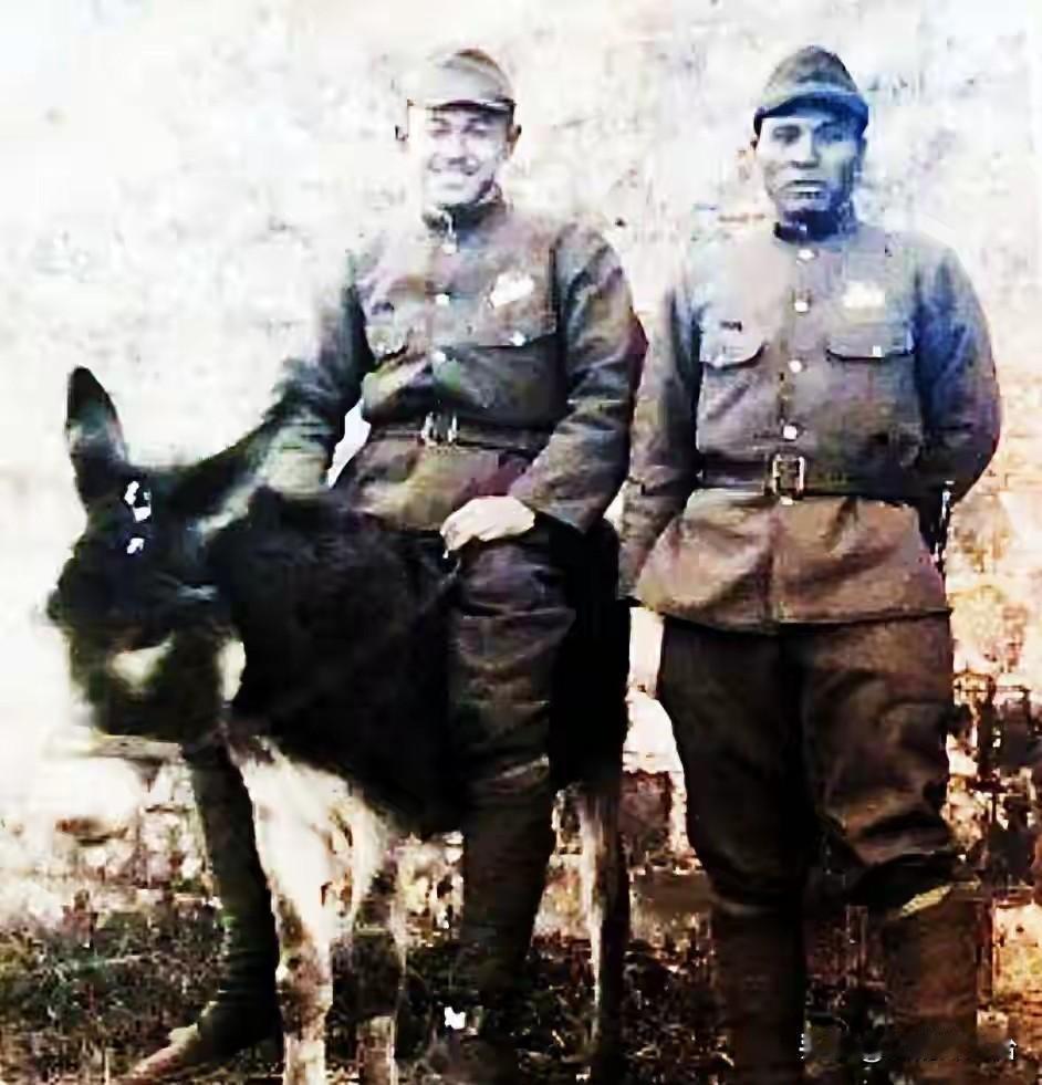 一九三七年十二月十三日，重炮轰塌了南京的城墙。日军第十三师团第七步兵联队的一等兵