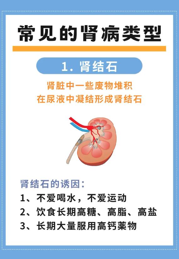 不同肾病有什么区别？常见类型科普
