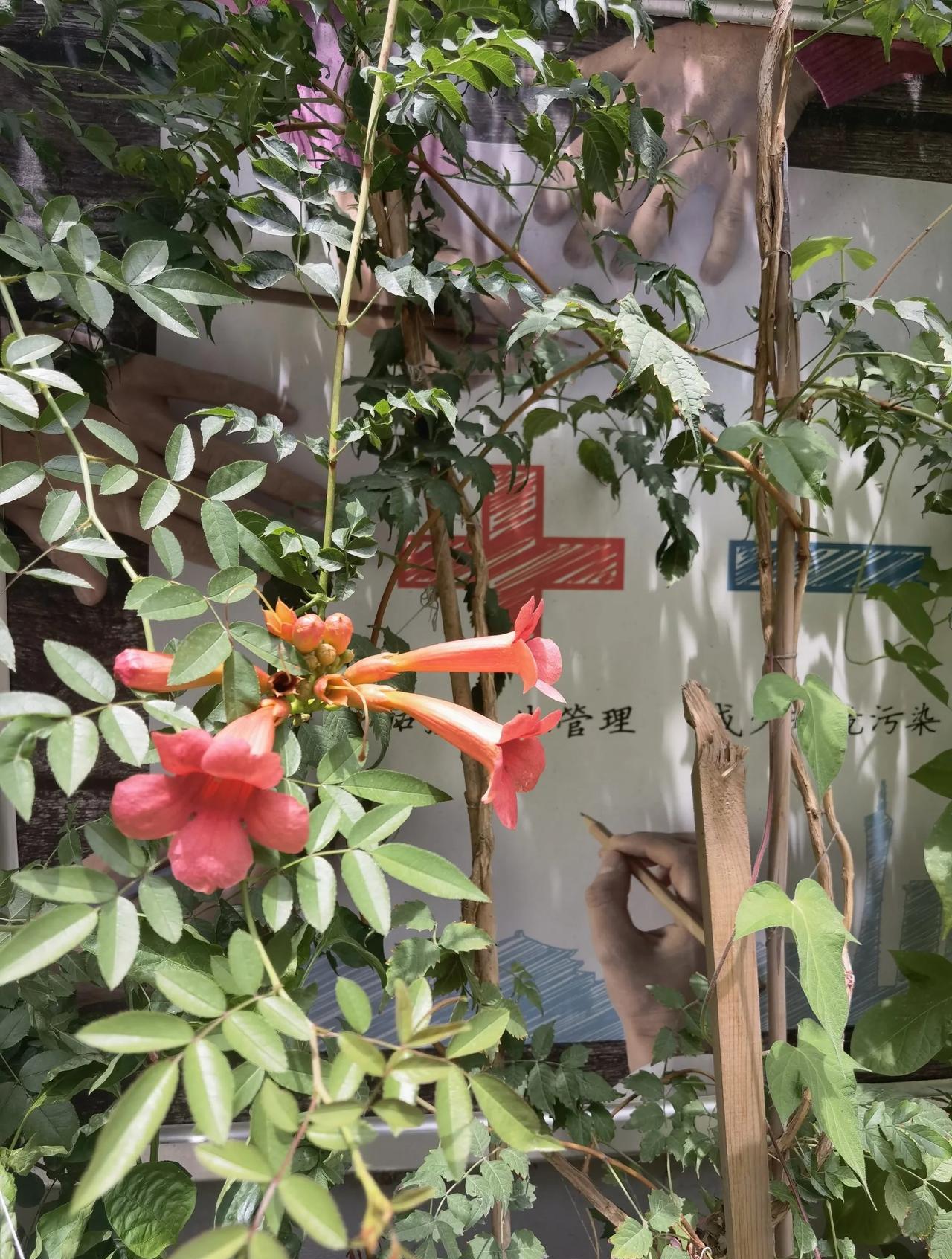 兰州最曲折的街巷，居然是旧大路留下的一段老路。这是一条曲曲折折的街巷，从皋兰路的