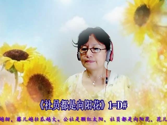 赤脚医生向阳花简谱_赤脚医生向阳花图片