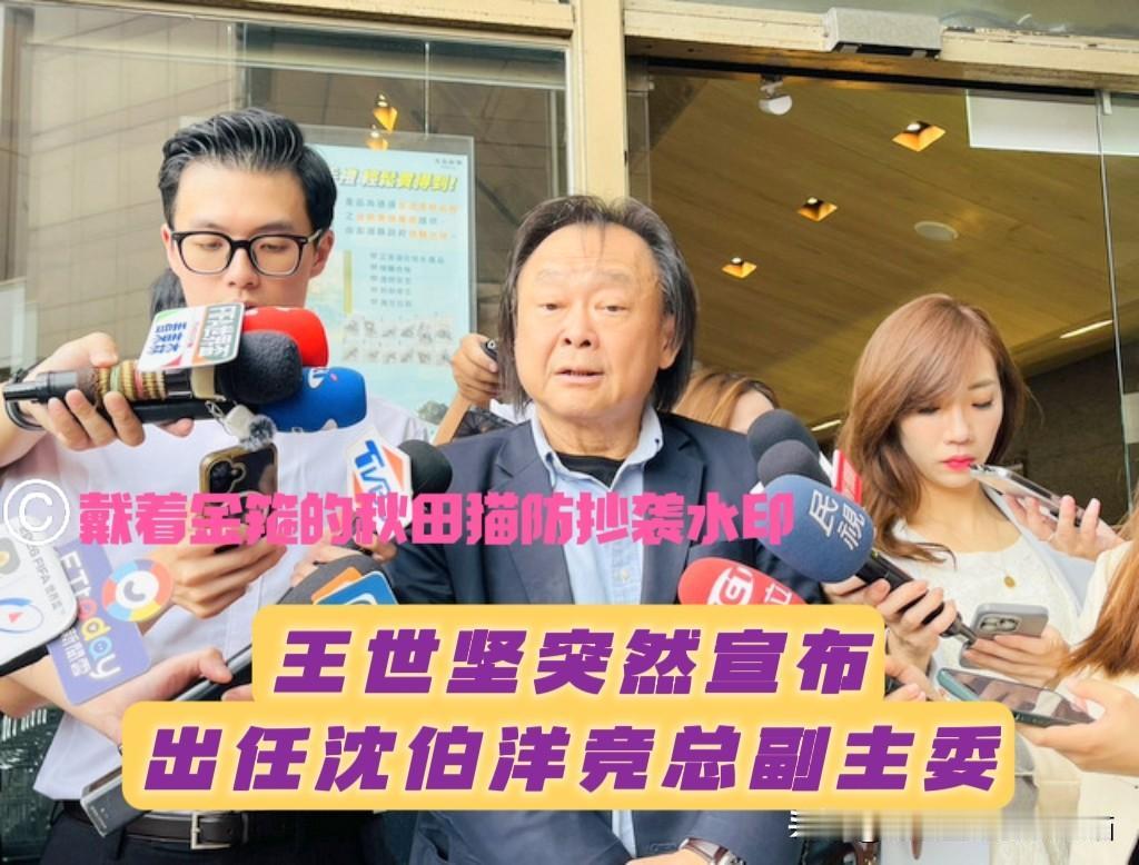 民进党下的什么棋？突发！一直力挺蒋万安的王世坚，突然宣布出任沈伯洋竞总副主委，