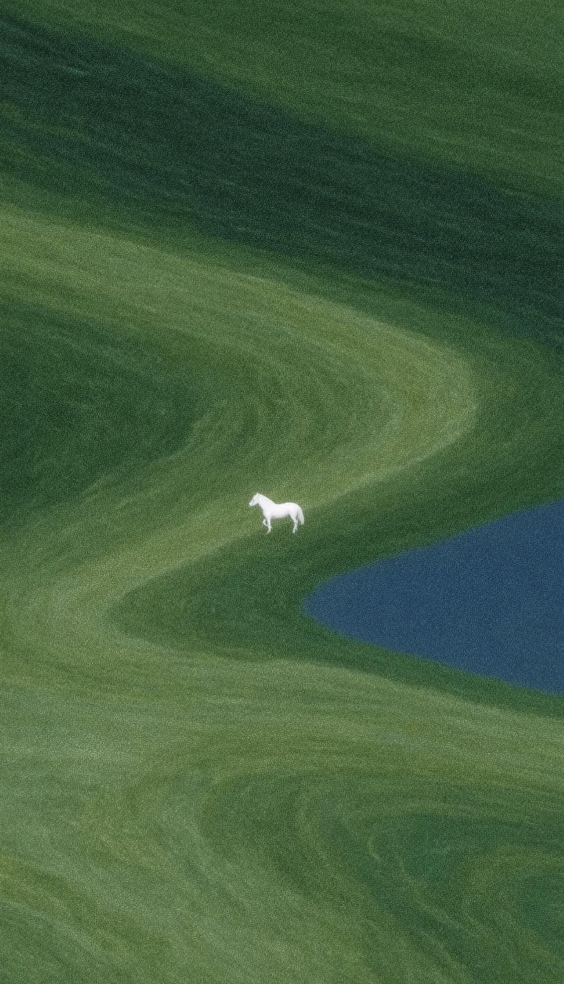 人一定要大量读书！我发现长期读书的人都有一个共性；贾平凹：“读书能让