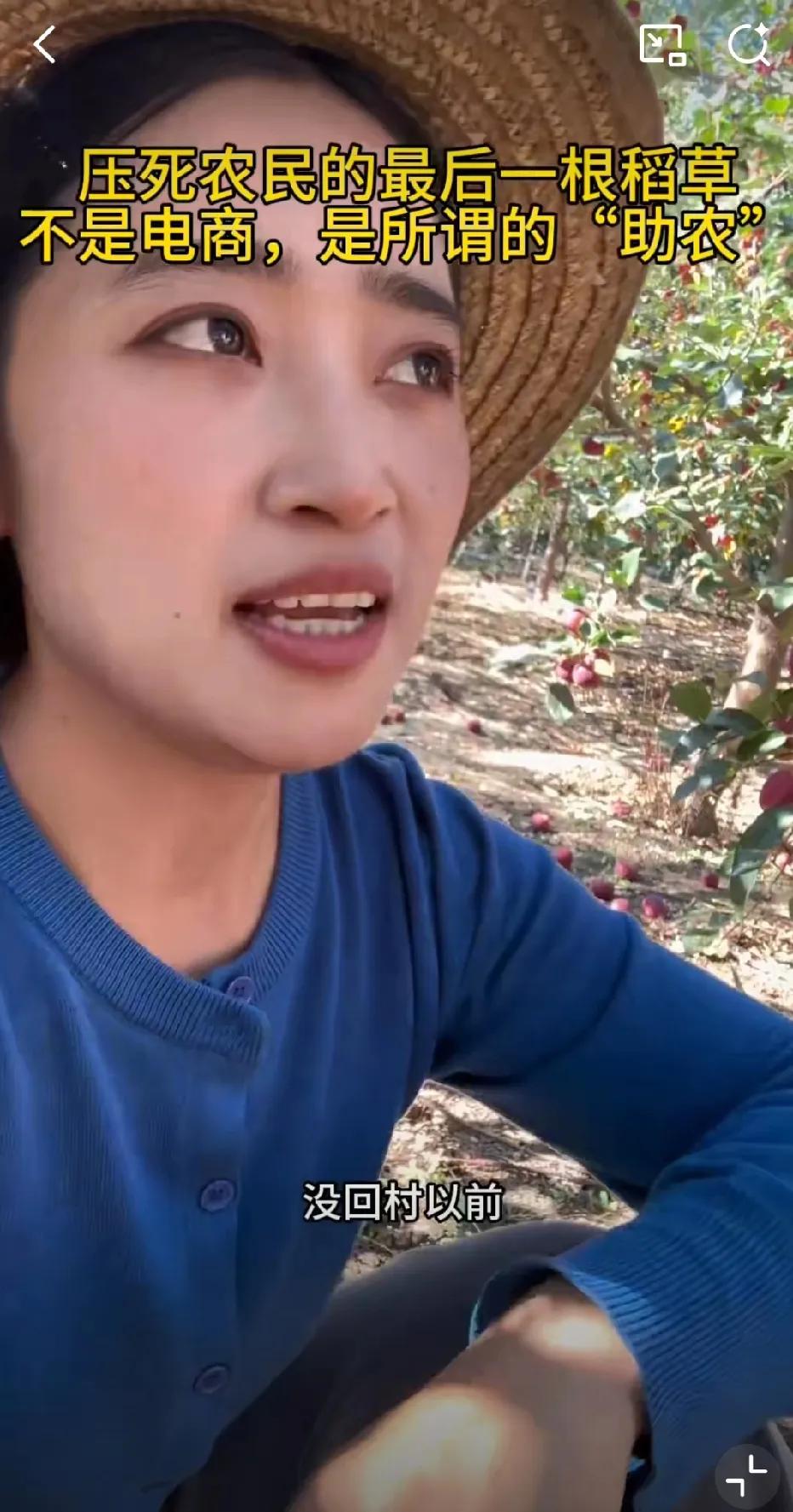 网友：压死农民的最后一根稻草不是电商，是所谓的“助农。视频提出的观点很值得深