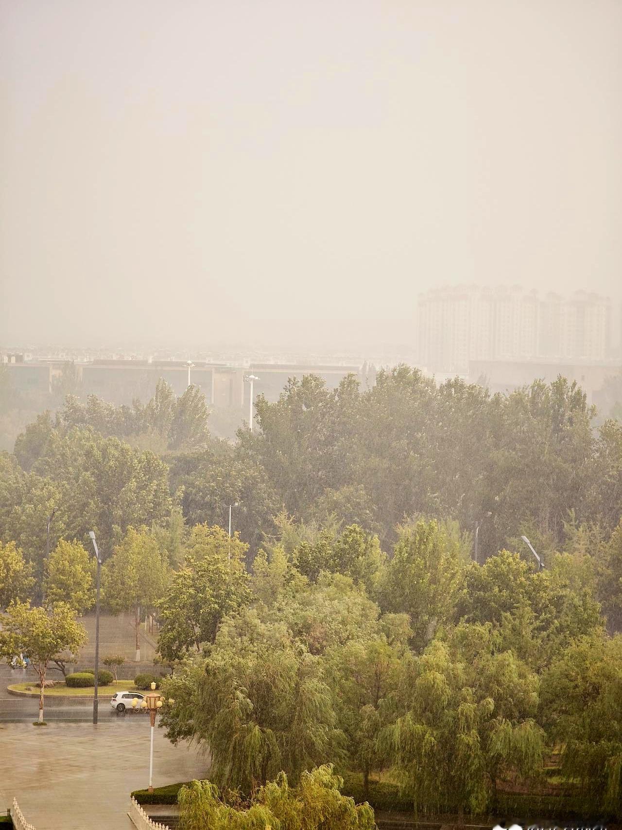 立秋当天还能这么猛？下午5点20分左右，山东广饶这场雨说来就来，雨点噼里啪啦往
