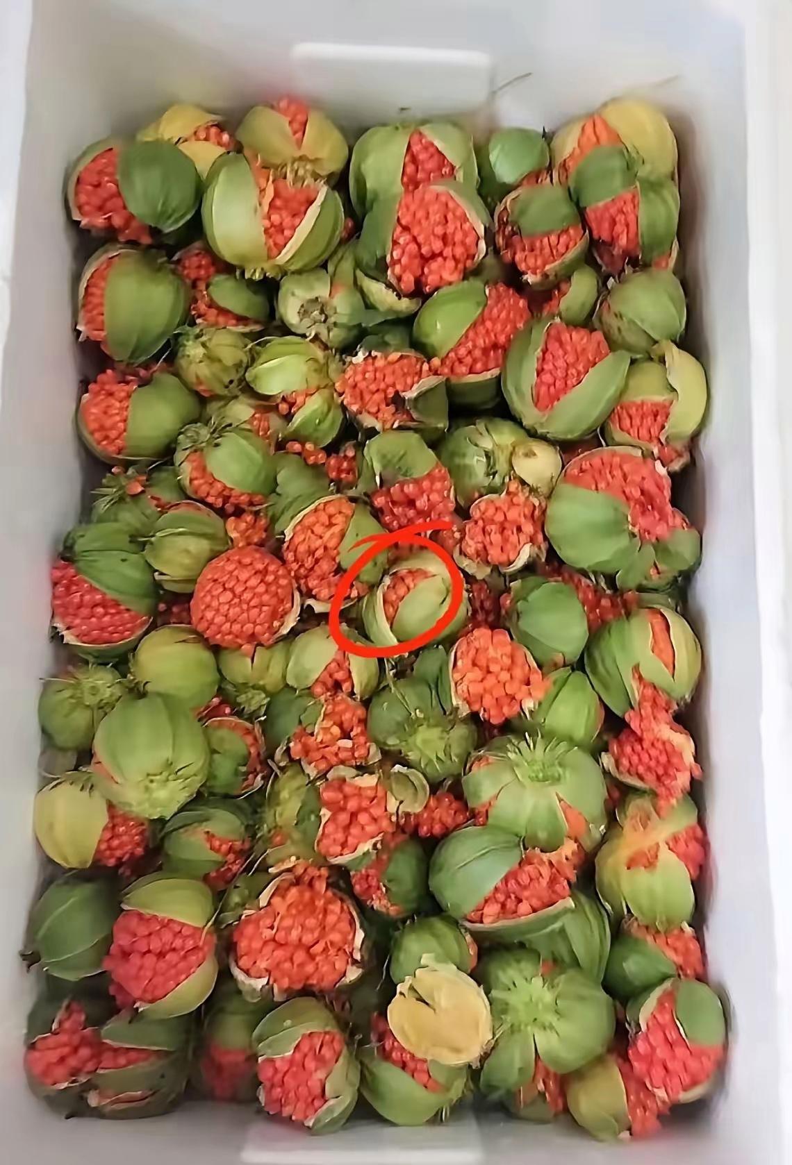 姐姐给我发她当地的无花果，当我收到的时候已经变成这样了，我想问一下，还能不能吃了