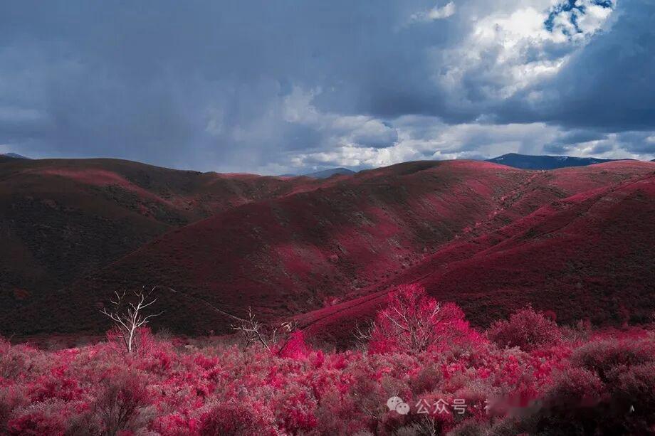 红外风光摄影师：AlMefer