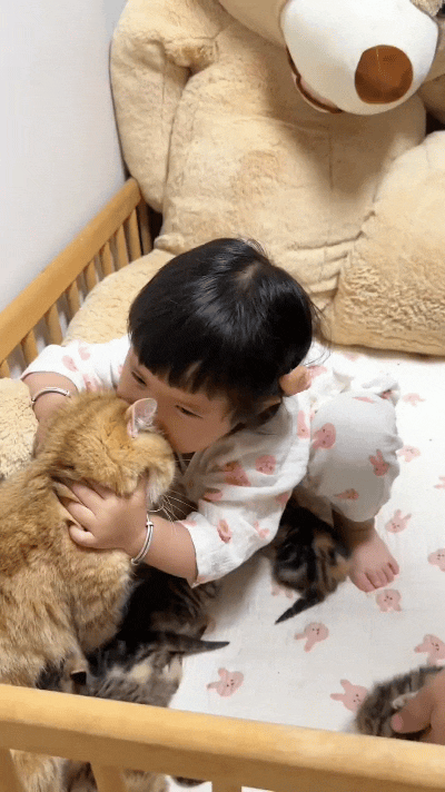 俺家大橘猫前阵子生了一窝小奶猫，可把俺家闺女稀罕坏了！每天天刚蒙蒙亮，这小妮儿一