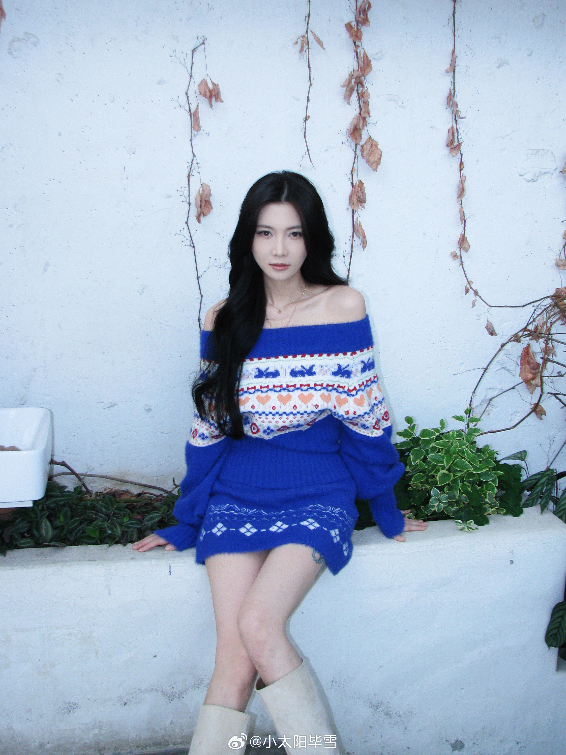 日常分享越淡越顺