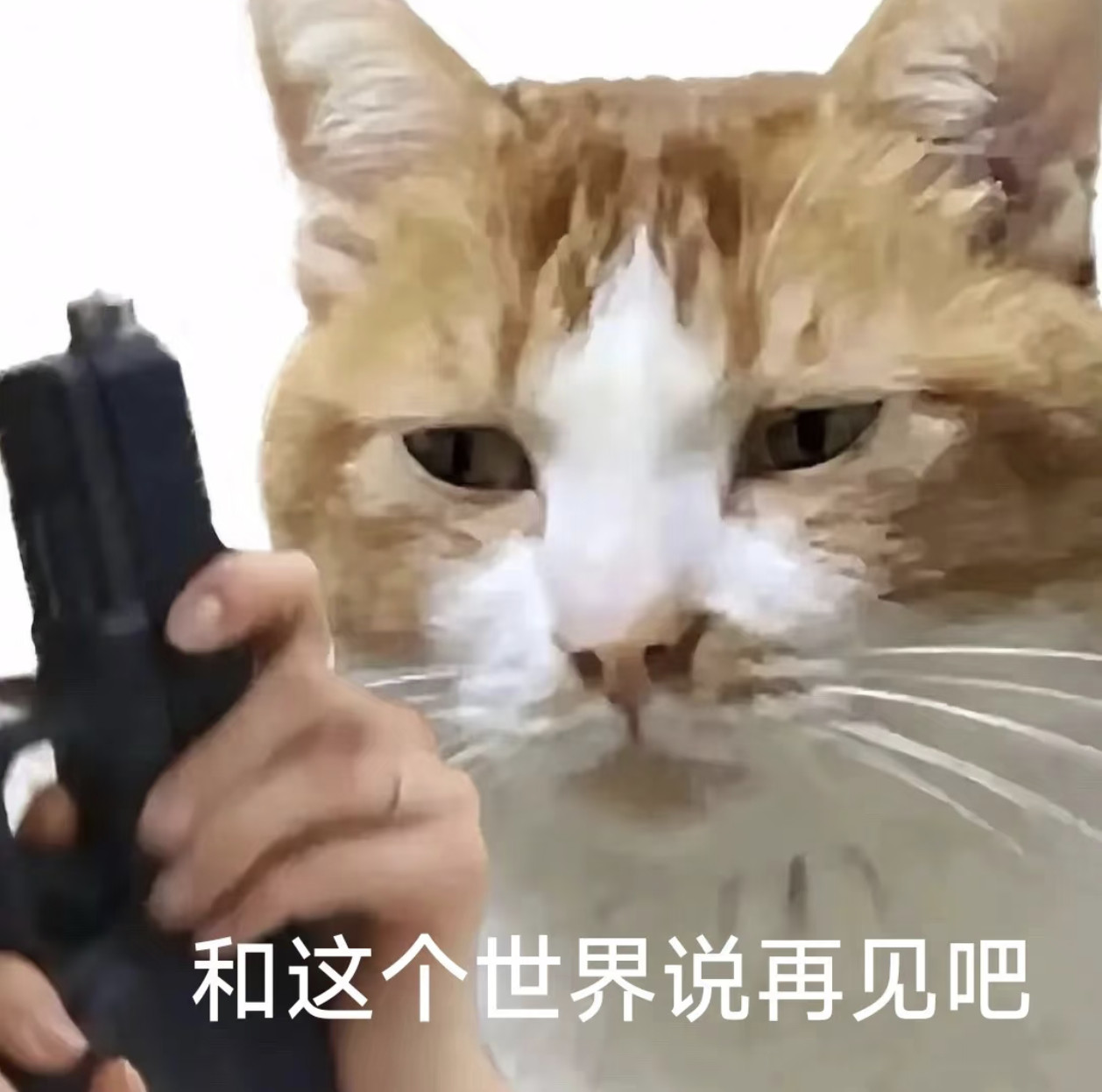 到底谁发明的水泥这对纯碱cp的(◎_◎;)