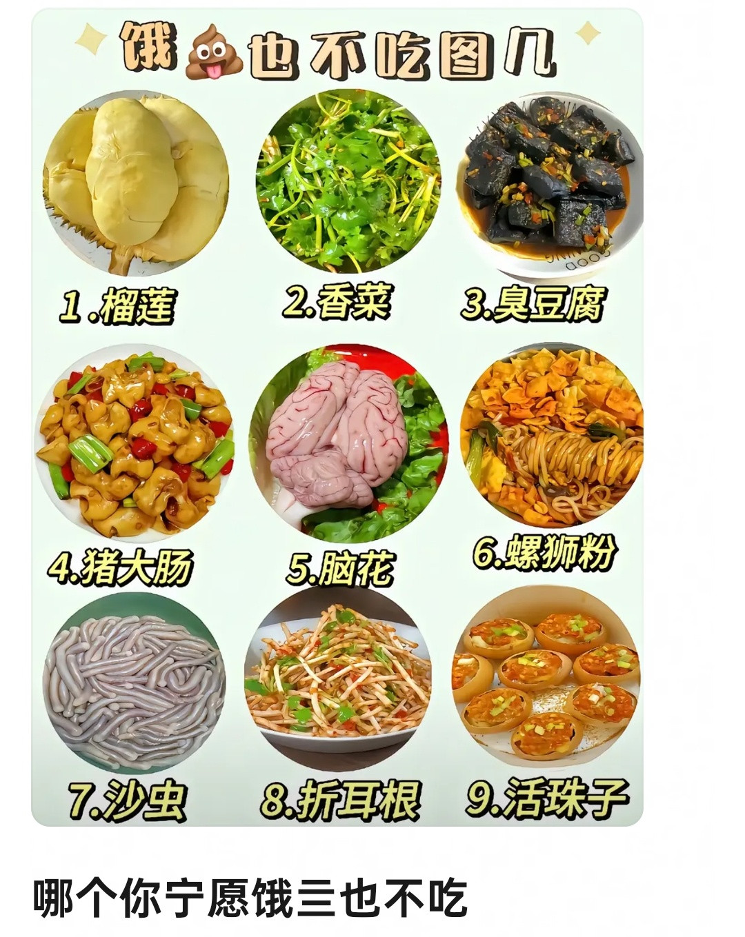 沙虫是啥，也是油炸着吃的虫子吗