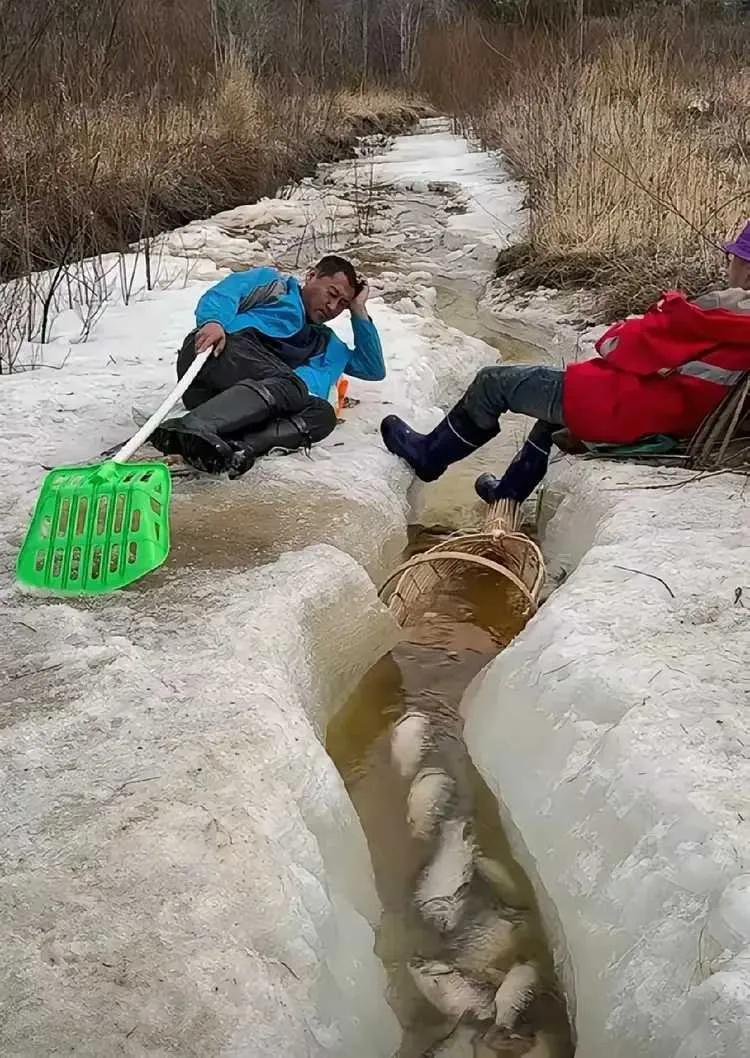 这在这等着鱼来一个也跑不丢，