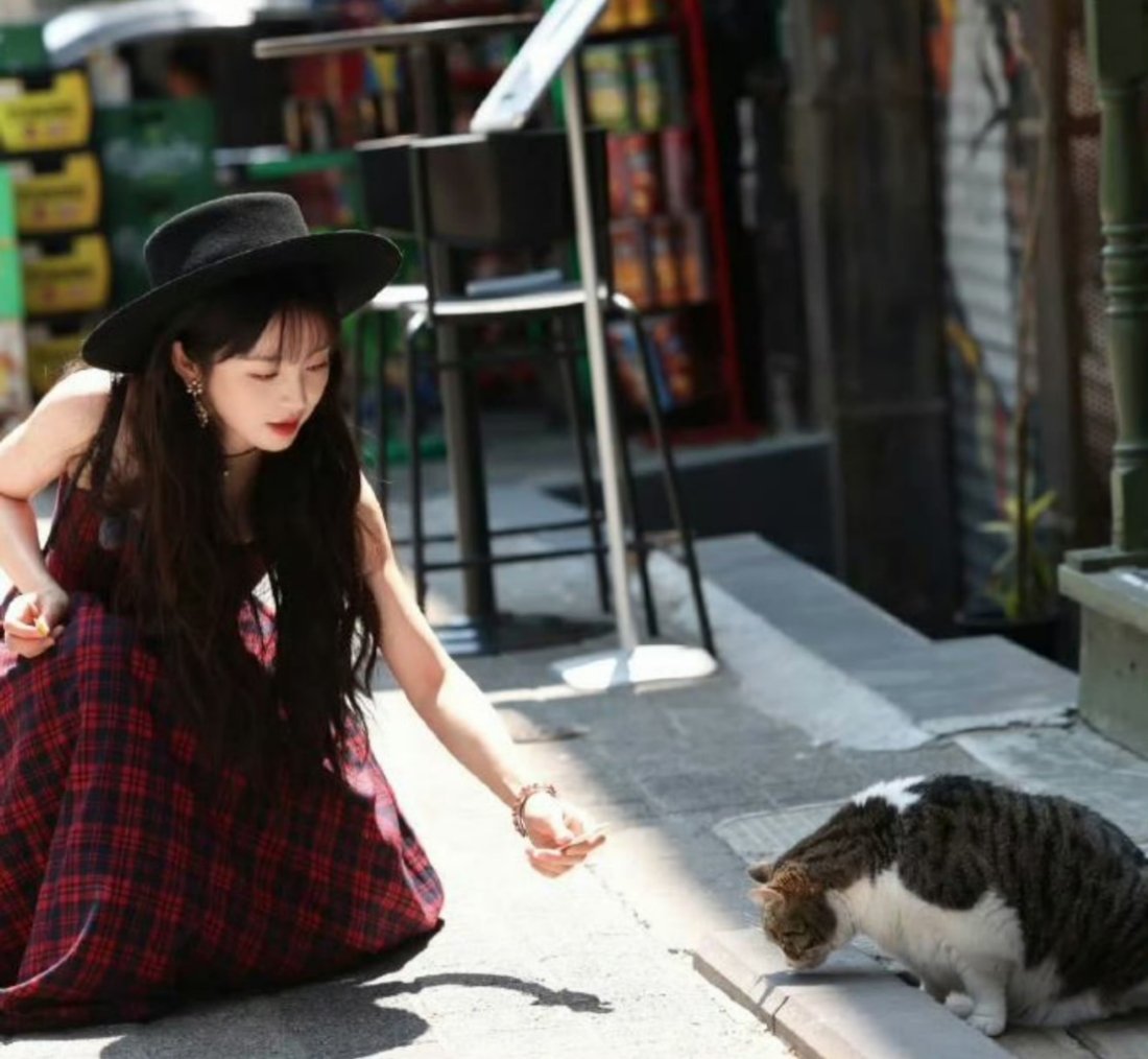 田曦薇身上的野猫味熏到康康了感觉小猫也很可爱，平时在路边上就喜欢拍拍​​​
