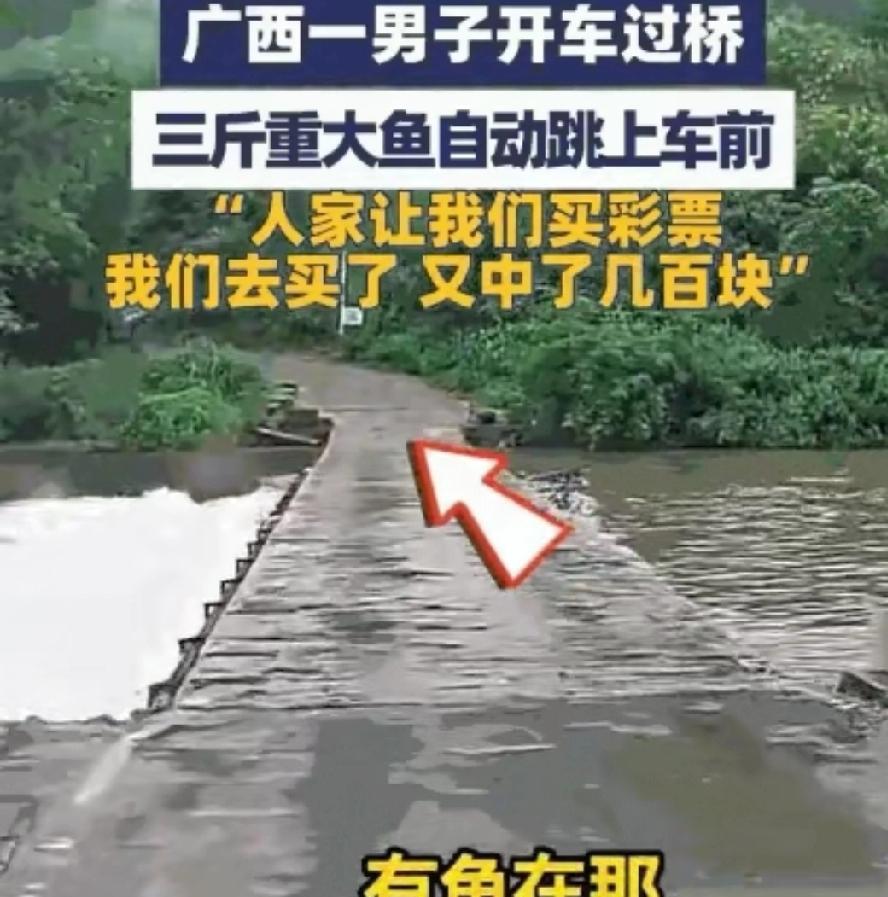 9月9日，广西桂林。这天是陈先生的幸运日。他开车和朋友出行，经过一座小桥时，就在