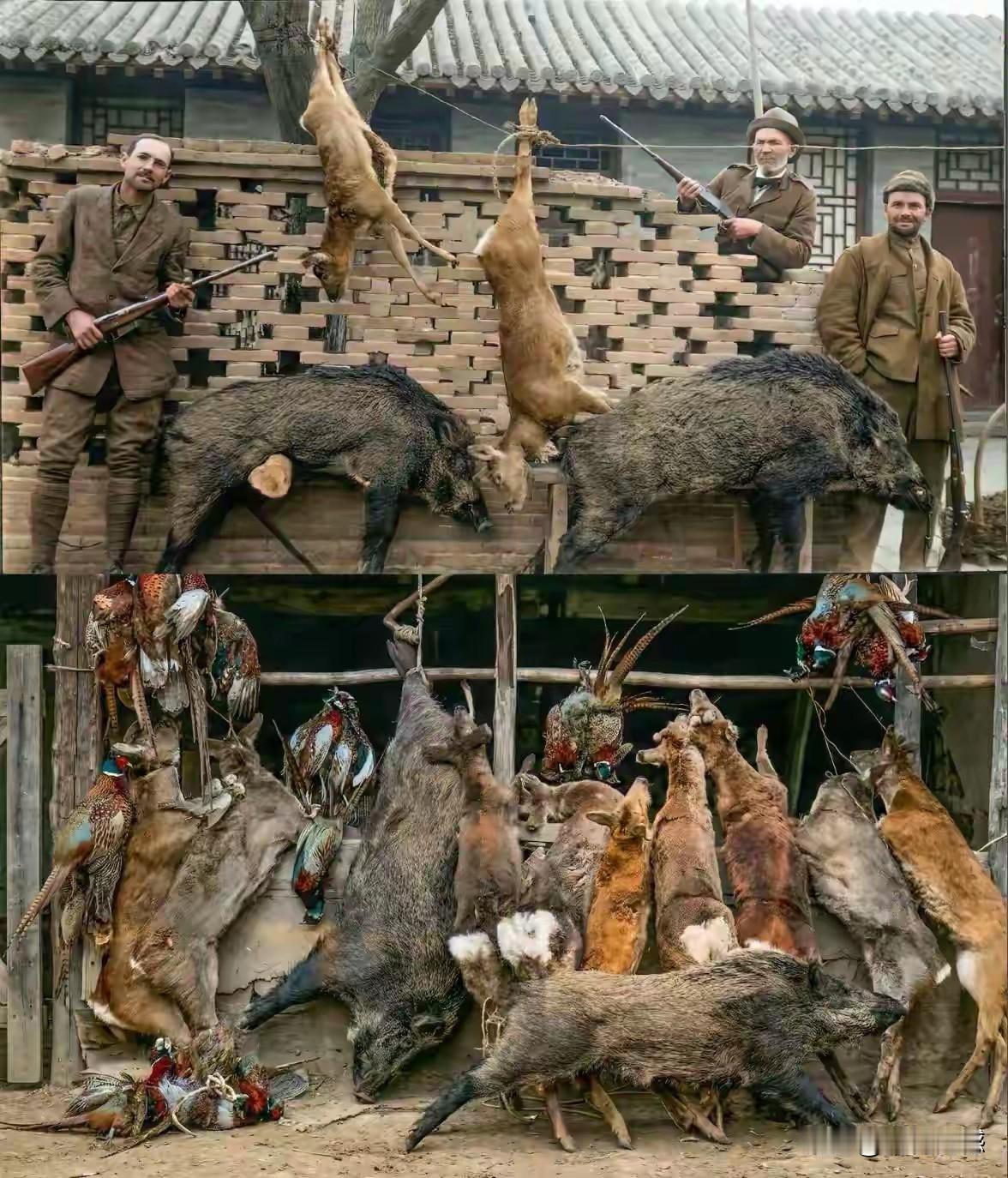 这么多野生动物，如果不对外出售的话，仅凭自己吃，在那个年代也是吃不过来的，可见以