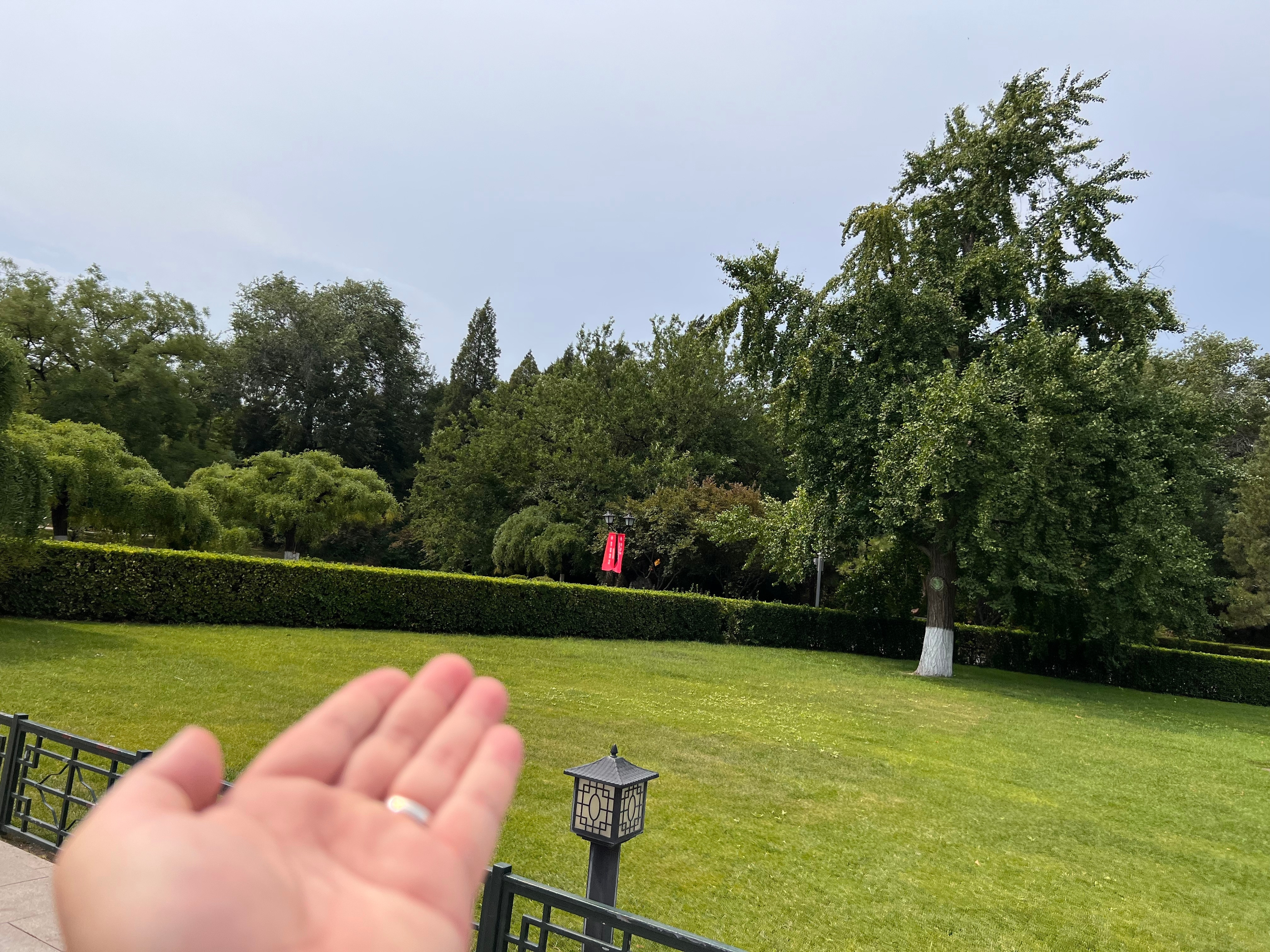 【见不得别人好，是巨大的陷阱】国际油价暴跌35%，本轮参与石油煤炭天然气相关股票