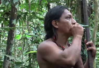 在厄瓜多尔东部的亚马逊雨林中，有一个叫瓦奥拉尼的原始部落，部落仅有4000人，他