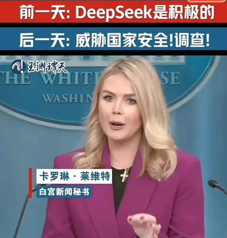 日本也对DeepSeek表态了！在意大利，爱尔兰，美国对DeepSeek展开调查