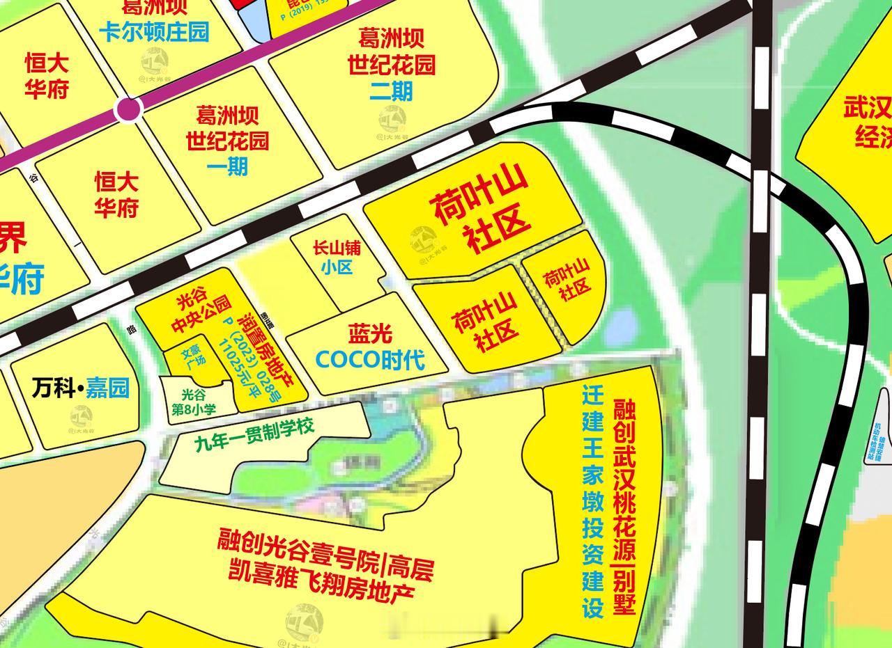 光谷荷叶山社区地块挂牌？11月18日，武汉市自然资源和城乡建设局决定以拍卖方式