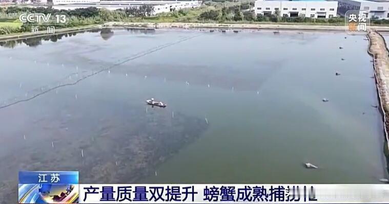 央视新闻报道了江苏河蟹大丰收，心想要么是兴化，要么就是苏州阳澄湖，没想到新闻报道