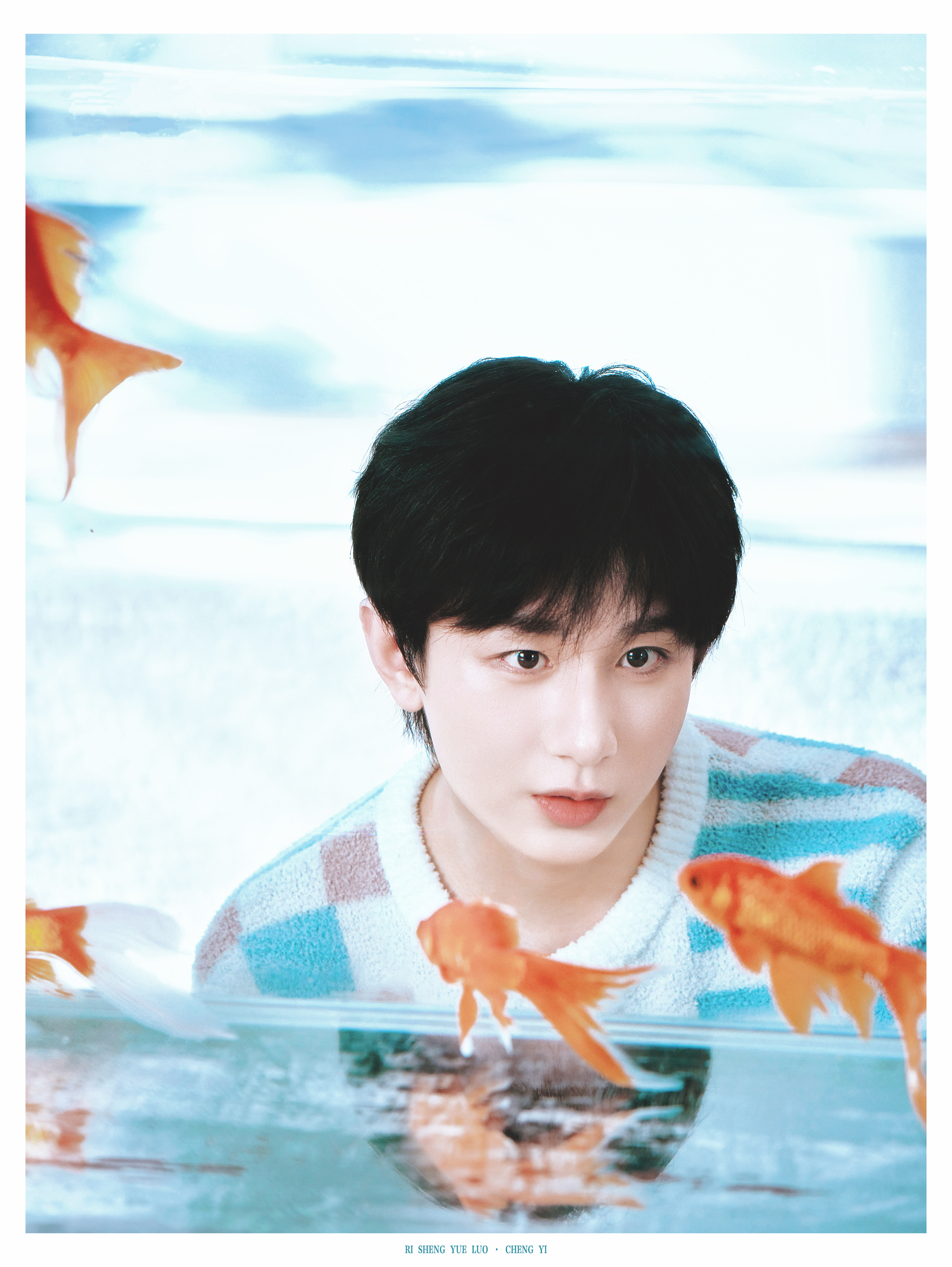 🐟🐟鱼儿水中游，首尾两相依～成毅