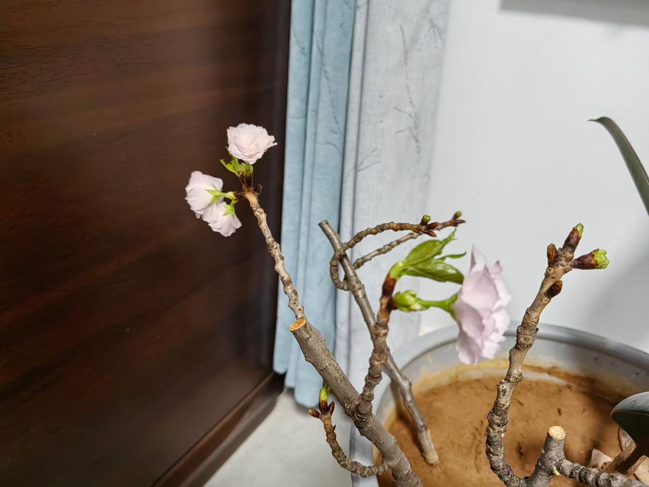 同学为了借钱给她弟弟，问了一圈，都没有借给她，不得不说，现在人真都够可以的，都能