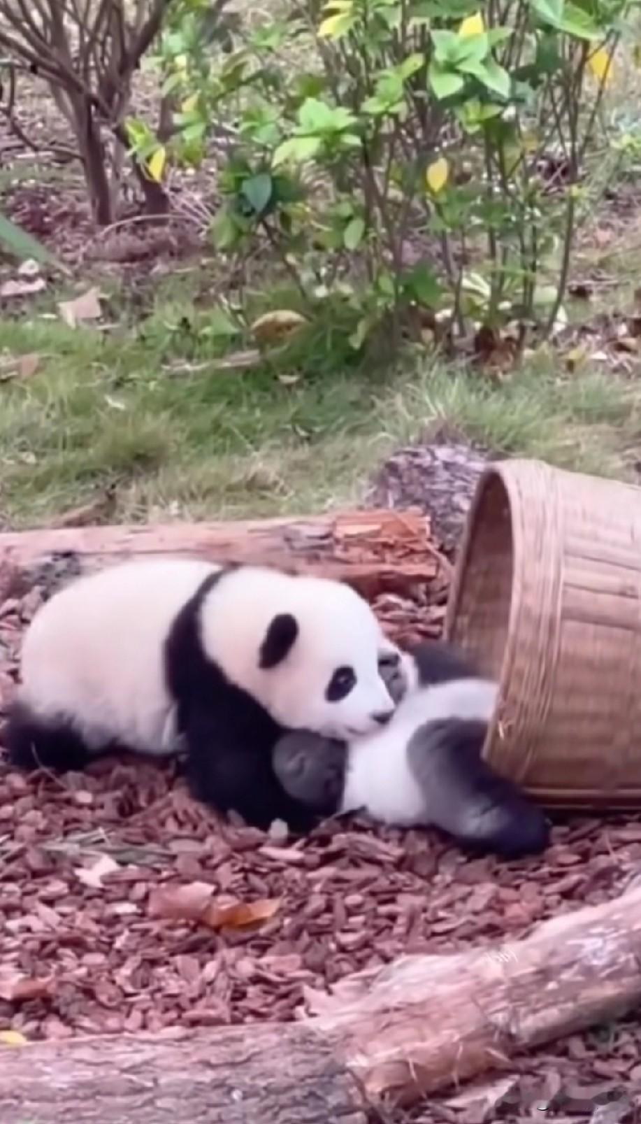 胃癌手术后两年的饮食不知不觉胃癌手术后有两年三个月了，回想起来刚开始手术时，第