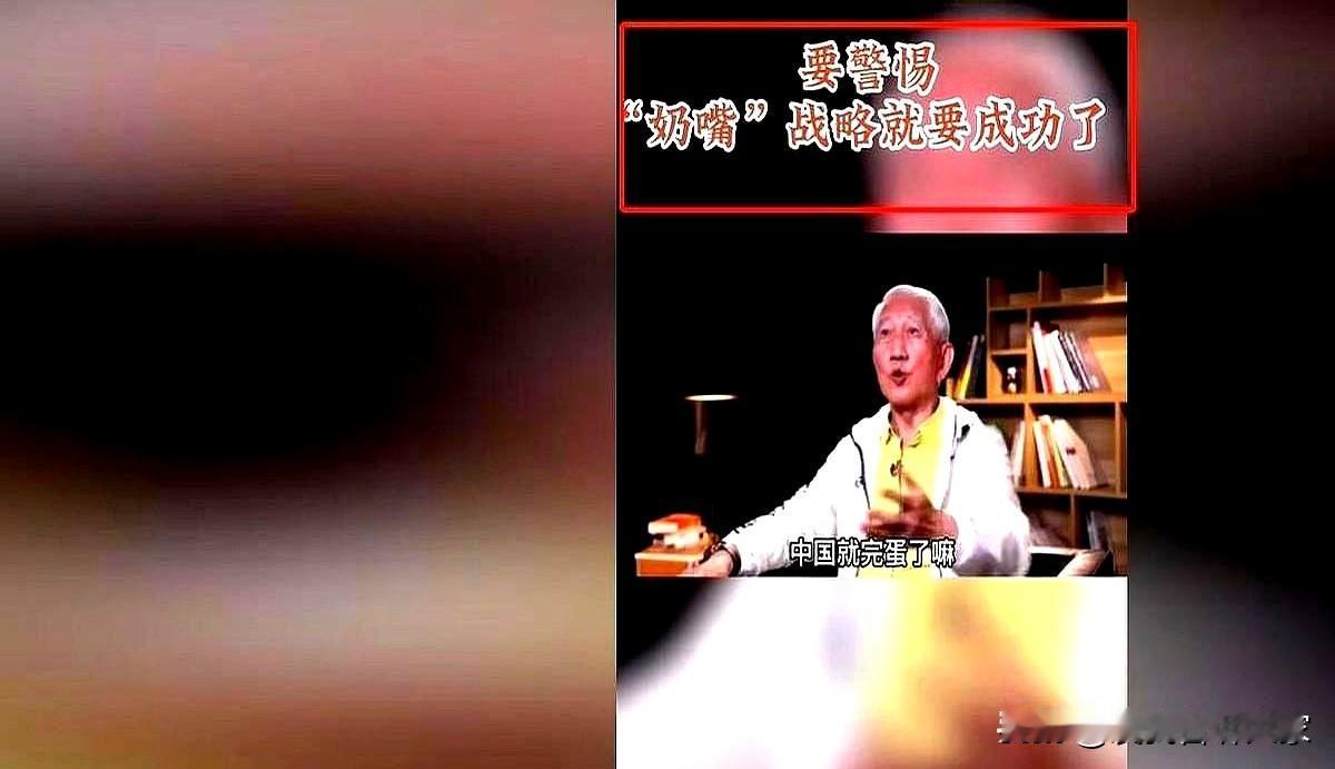 警惕！（美国对中国）的‘奶嘴’战略要成功了！”早在2022年，中国教授柳
