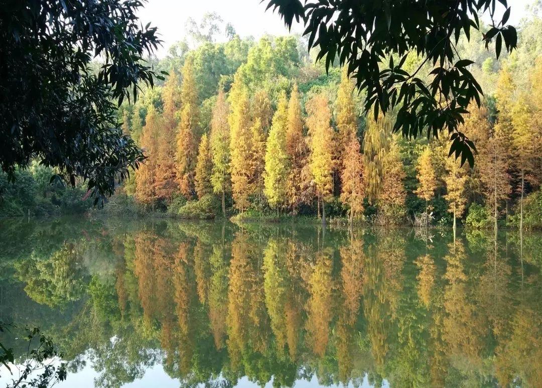 余生很短，好好爱自己余生很短，短到一朵花从绽放到凋零，不过朝夕；短到一场梦从