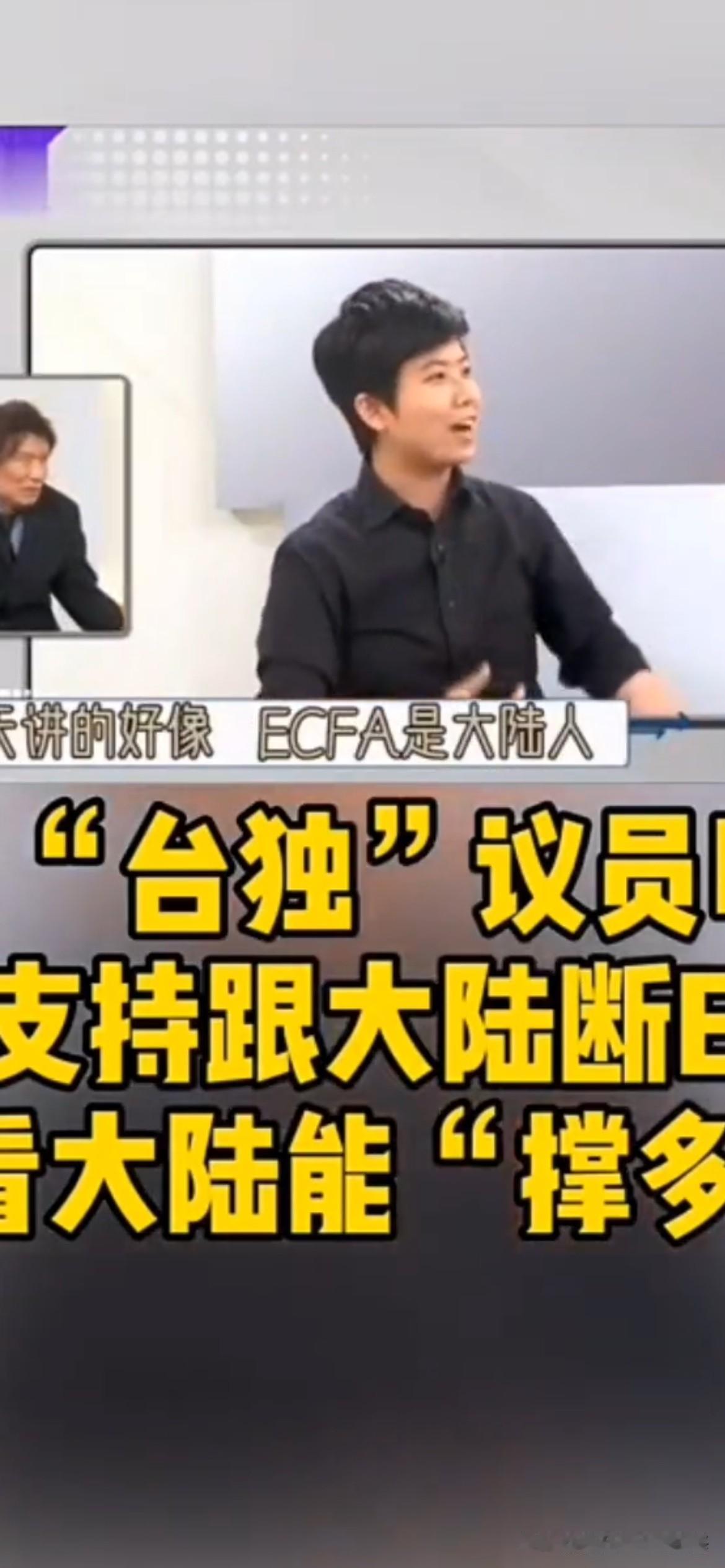 台议员苗博雅：支持ECFA不续约这个台湾的议员在节目中表示，ECFA到