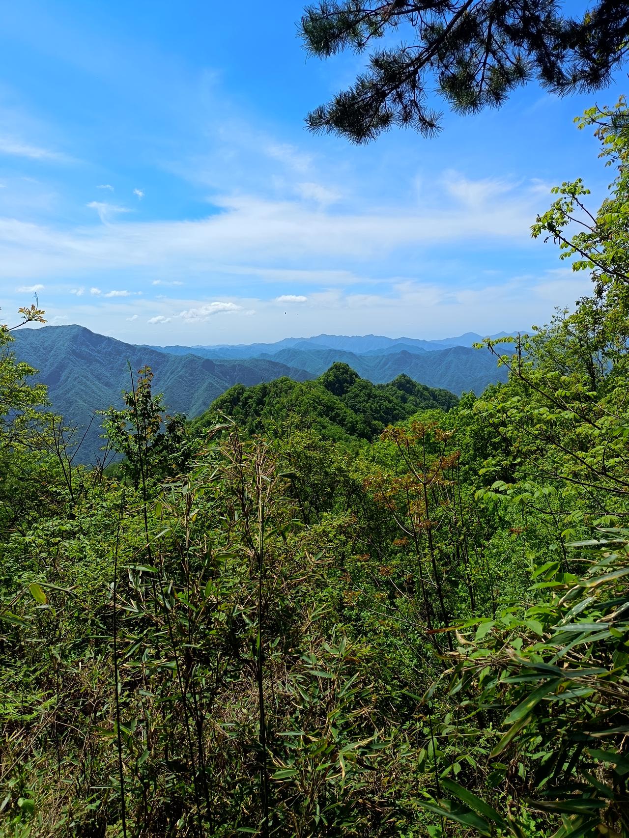 站在朝阳洞山顶看秦岭茫茫群山山连千岭被山围，有的瘦矮有的肥。西风穿山散云