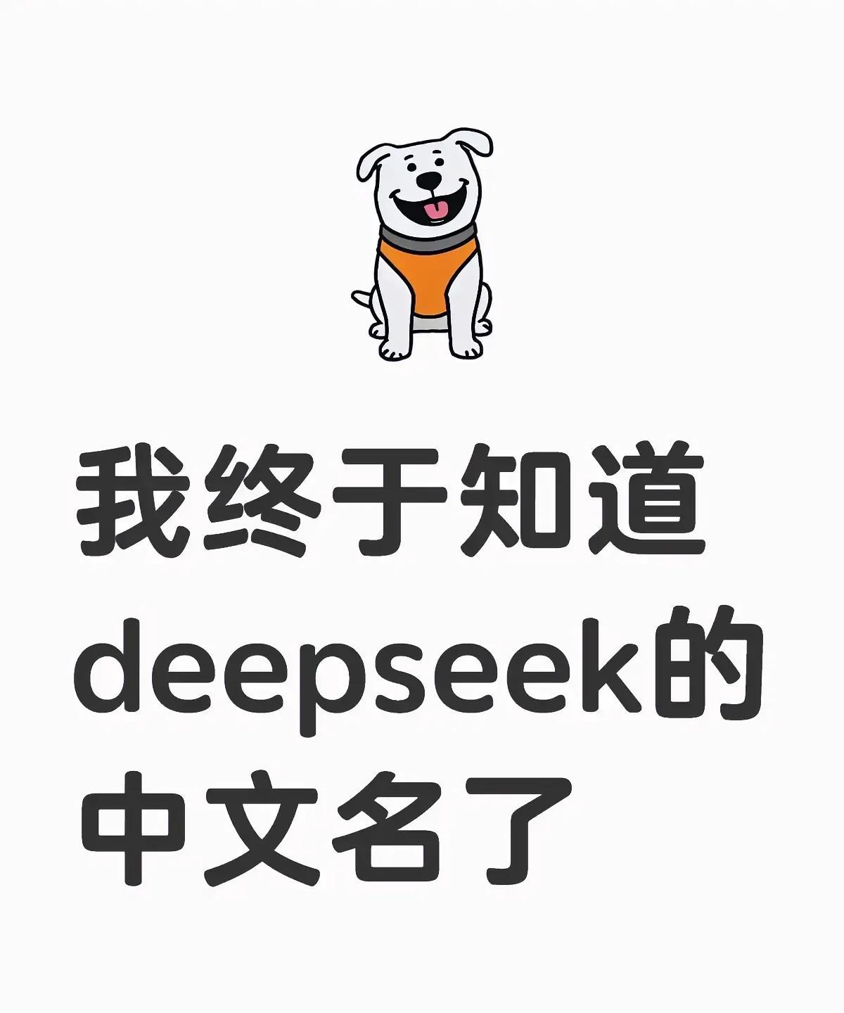 我80岁的公公是老中医，他今天突然问我：deepseek为啥要叫这个名？我当时