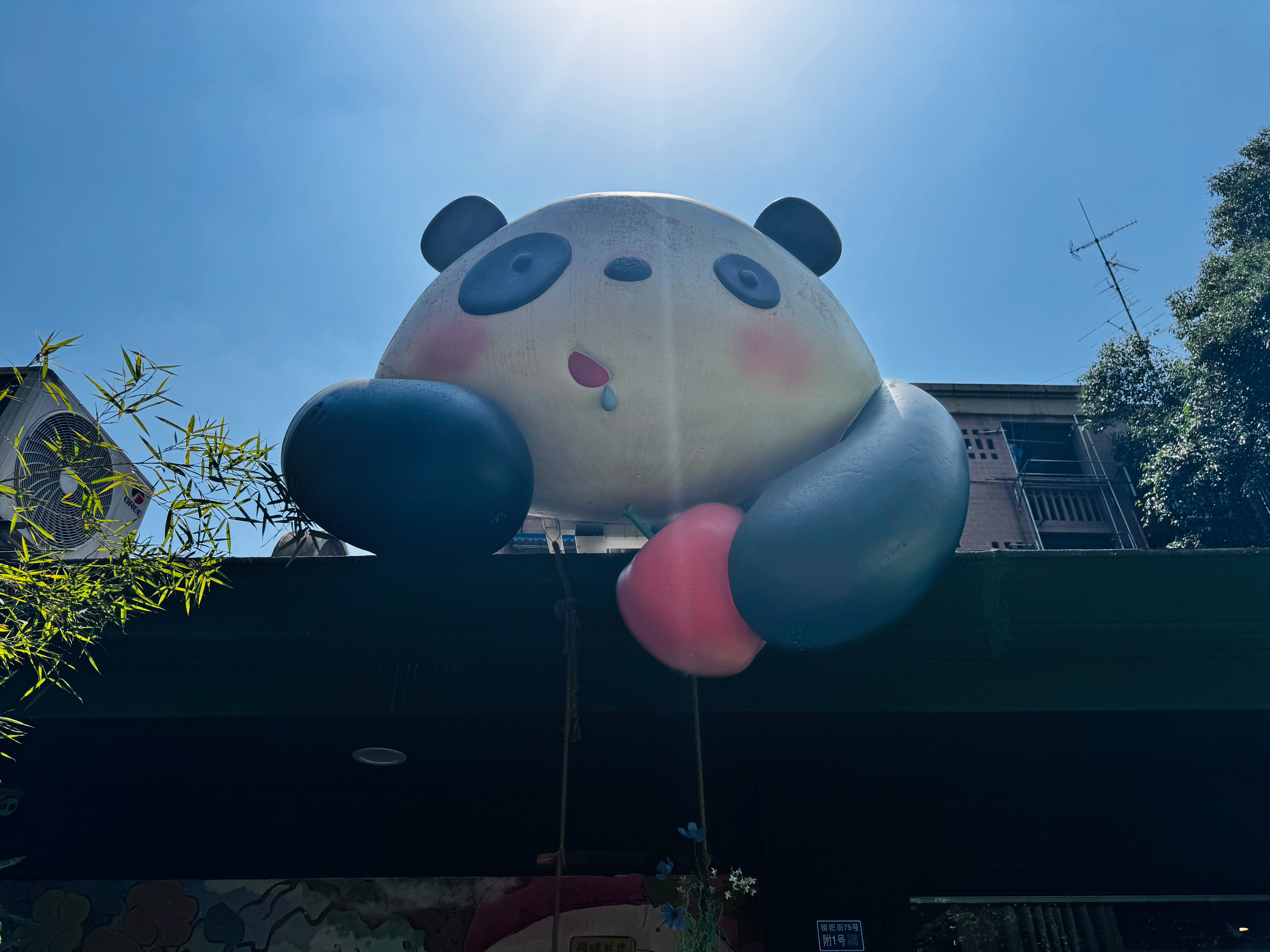 成都熊猫之旅🐼成都·春熙路
