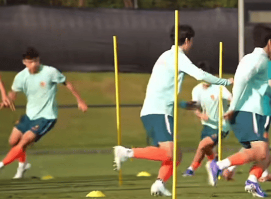 这个动图怎么有一个小时。兔萌