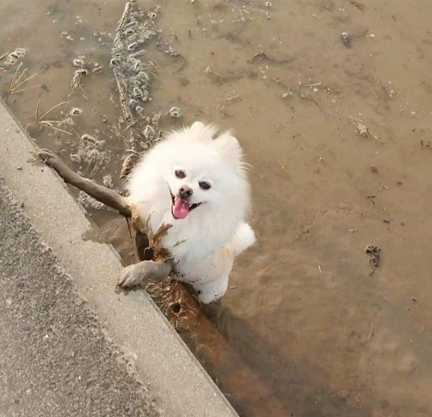 有点诡异了