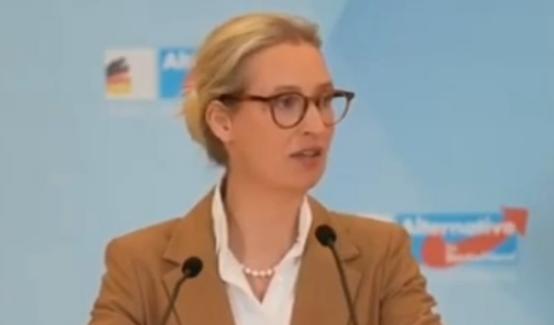 德国“选择党”领导人说出了格陵兰北约防御的荒谬德国右翼政党“选择党”领导人艾