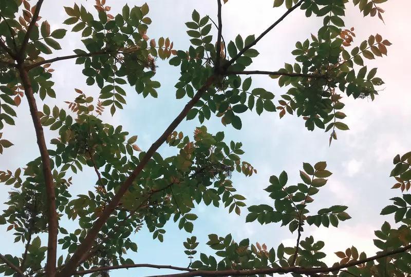 北大才子刘震云说过最狠的话：
