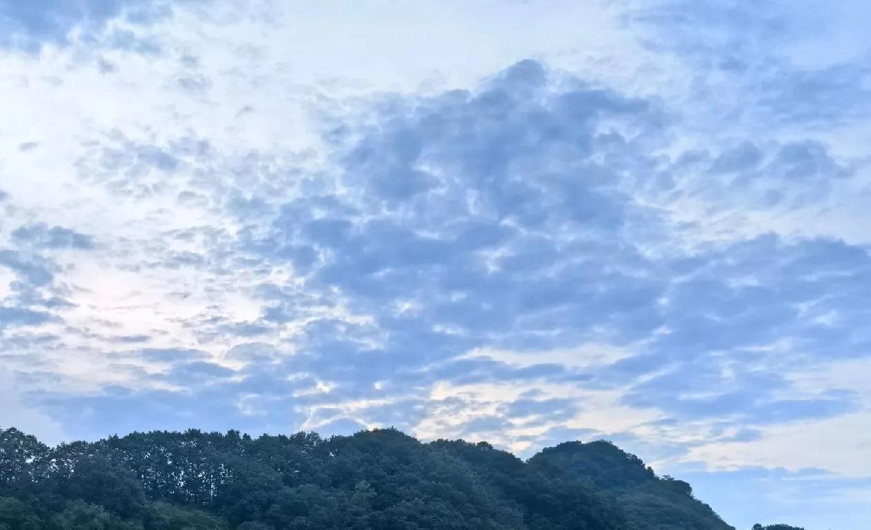 邮票钱币收藏真不行了，去了邮票收藏的几个票有聚会一个年轻人都没有，全是年纪大的，